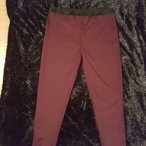 Plus size stretch pants